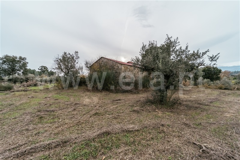 Quinta  Fundão, Alpedrinha - 1447684 - 12