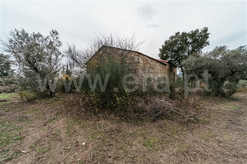 Quinta  Fundão, Alpedrinha - 1447684 - 13