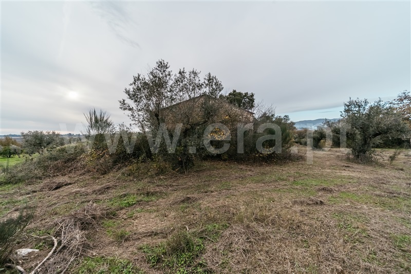 Quinta  Fundão, Alpedrinha - 1447684 - 15