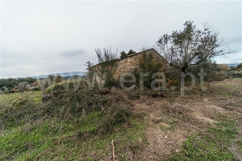Quinta  Fundão, Alpedrinha - 1447684 - 16