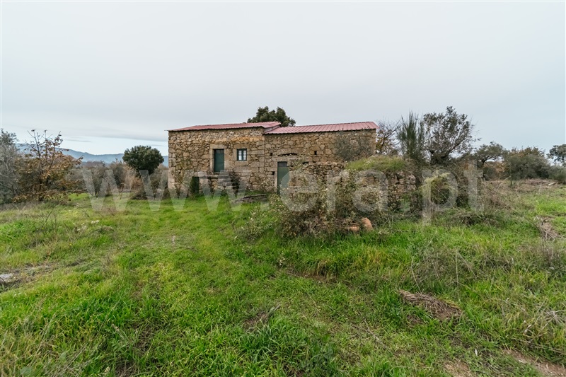 Quinta  Fundão, Alpedrinha - 1447684 - 18