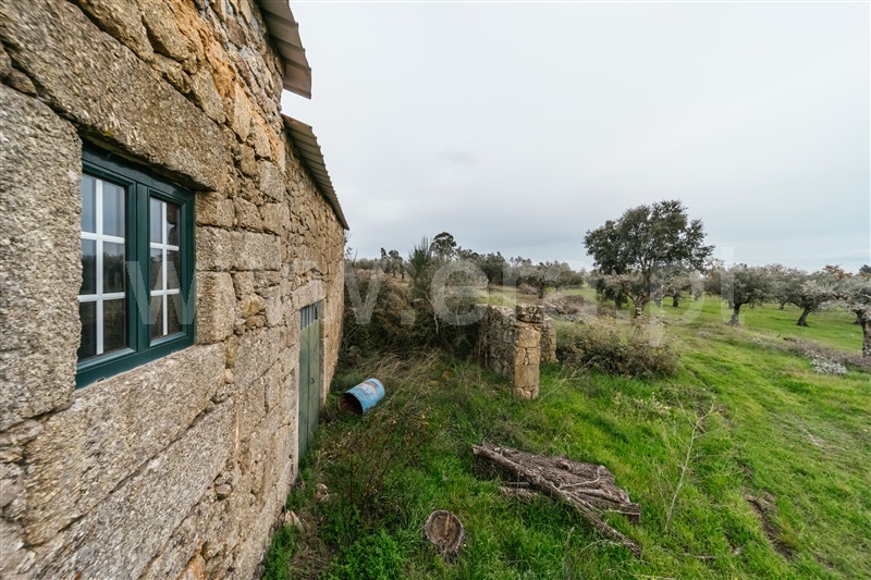 Quinta  Fundão, Alpedrinha - 1447684 - 21