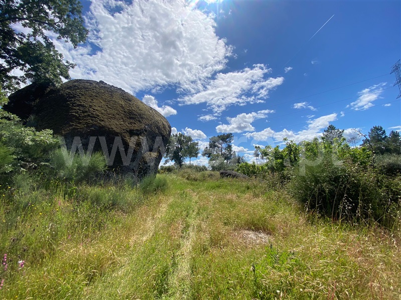 Quinta T1 Fundão, Martianas - 1482395 - 5