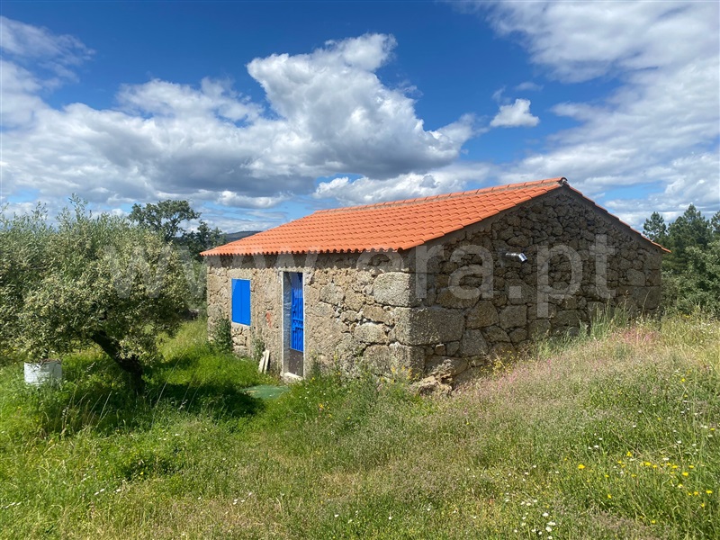 Quinta T1 Fundão, Martianas - 1482395 - 17