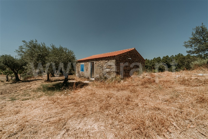 Quinta T1 / Fundão, Martianas