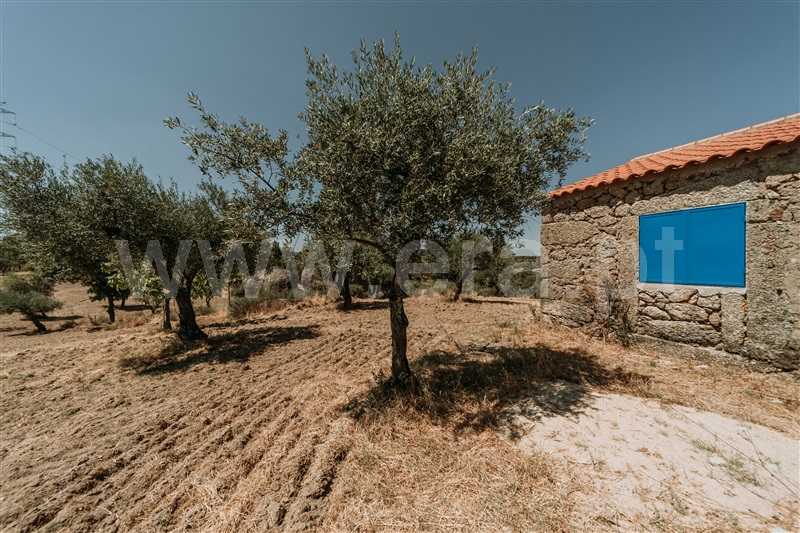 Quinta T1 Fundão, Martianas - 1482395 - 15