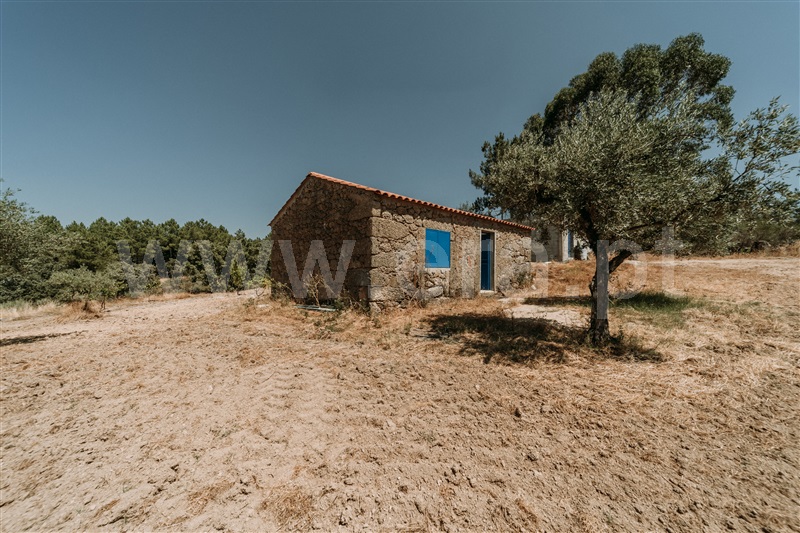 Quinta T1 Fundão, Martianas - 1482395 - 16