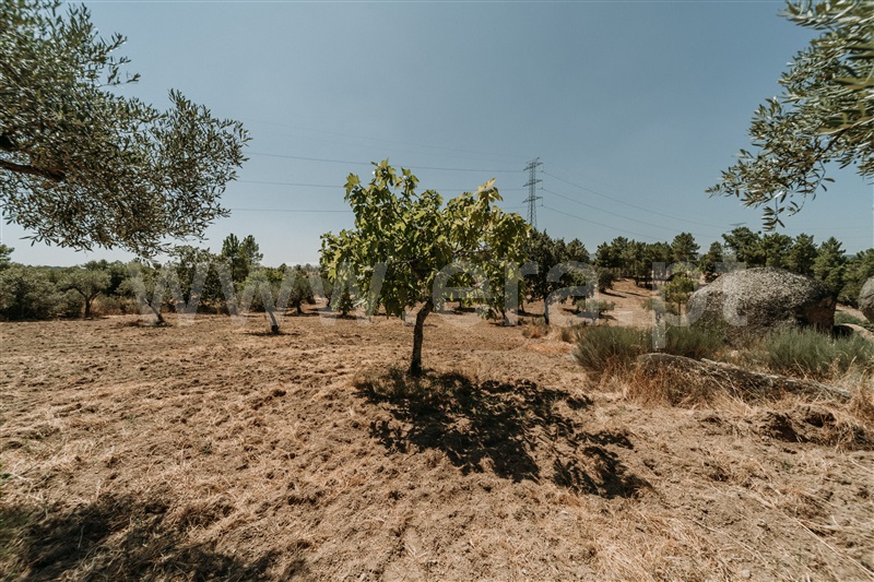 Quinta T1 Fundão, Martianas - 1482395 - 17