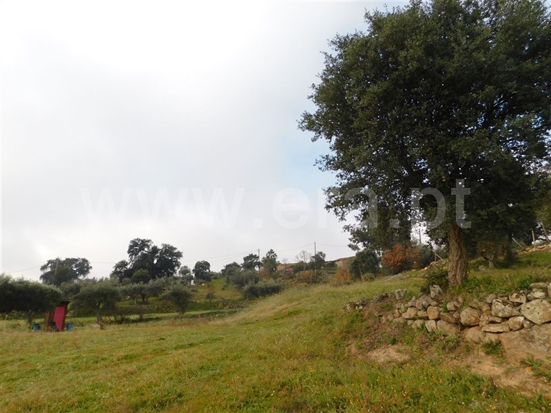 Quinta  Fundão, Mata da Rainha - 1376431 - 5