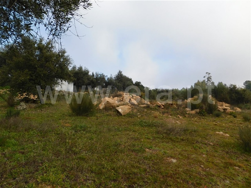 Quinta  Fundão, Mata da Rainha - 1376431 - 6