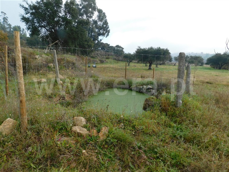 Quinta  Fundão, Mata da Rainha - 1376431 - 7