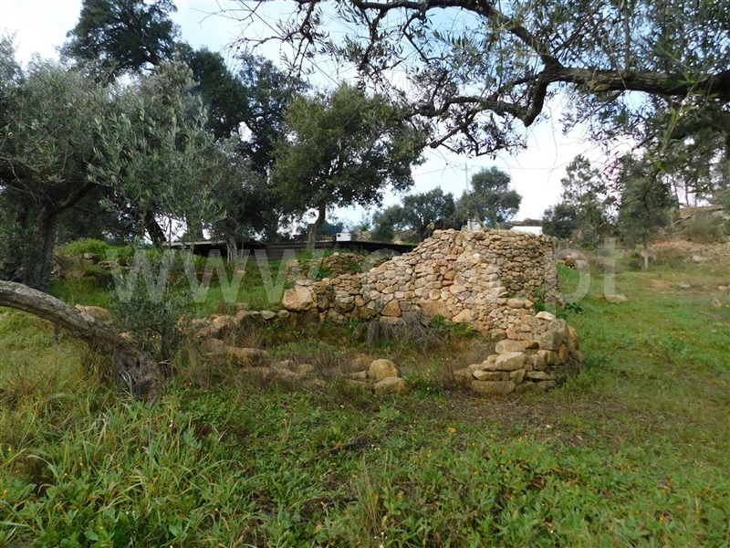 Quinta  Fundão, Mata da Rainha - 1376431 - 8