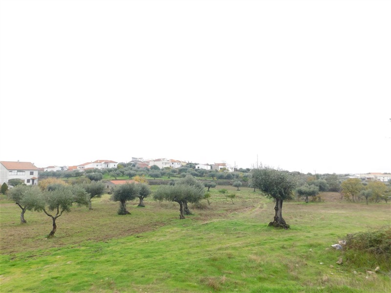 Quinta  Fundão, Orca - 964504 - 3