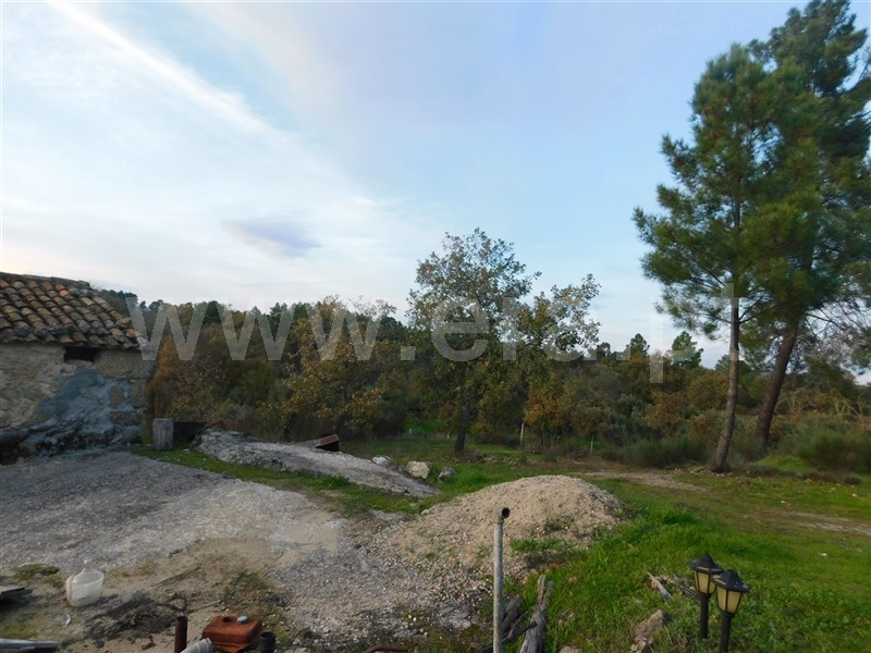 Quinta  Fundão, Orca - 964504 - 4