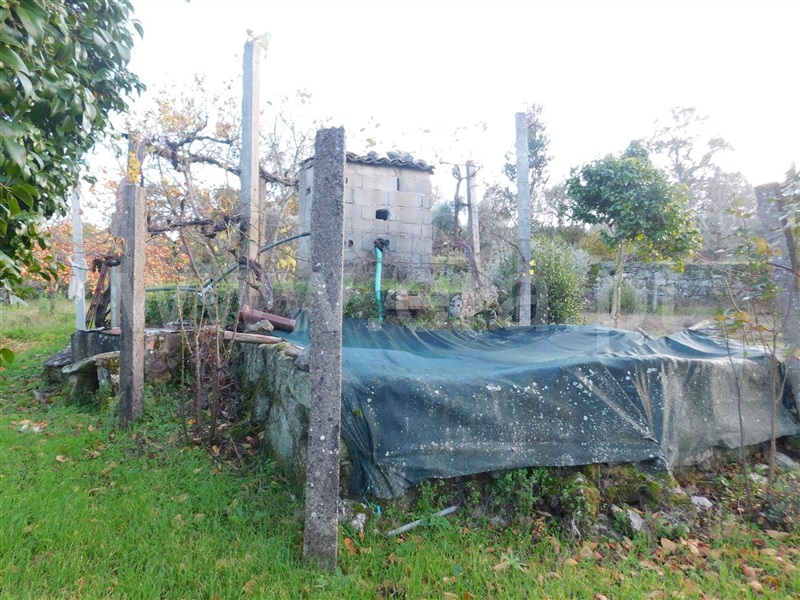 Quinta  Fundão, Orca - 964504 - 11