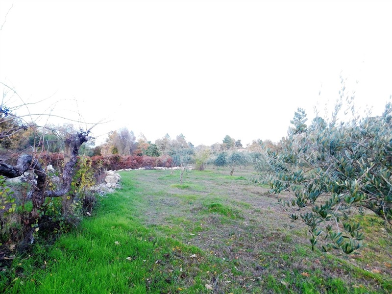 Quinta  Fundão, Orca - 964504 - 14