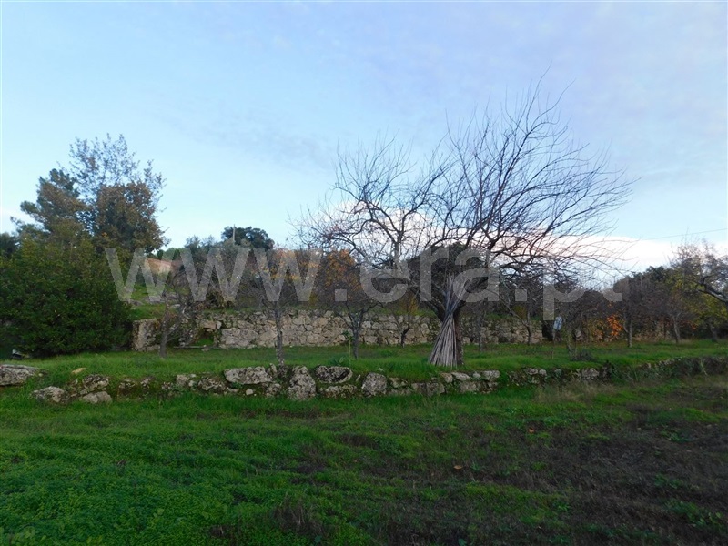 Quinta  Fundão, Orca - 964504 - 17