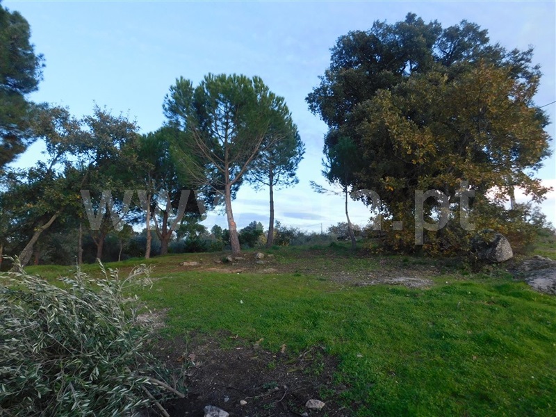 Quinta  Fundão, Orca - 964504 - 18