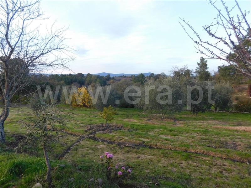 Quinta  Fundão, Orca - 964504 - 19