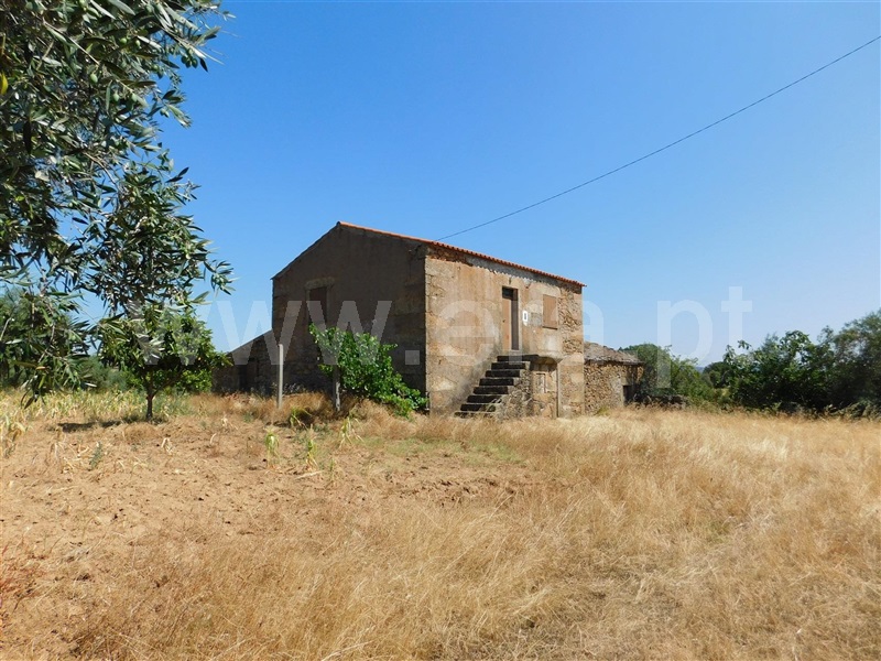 Quinta / Fundão, Quintas da Torre
