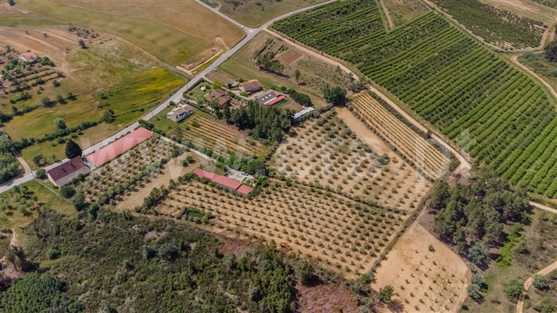Quinta T1 / Fundão, Salgueiro