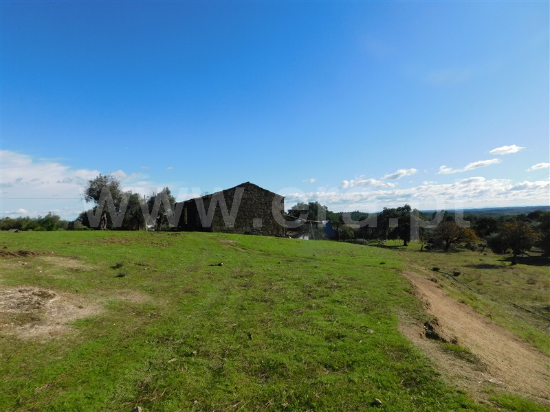 Quinta T1 / Fundão, Vale Prazeres