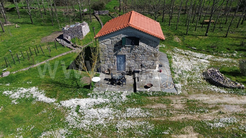 Quinta T1 / Gouveia, Rio Torto