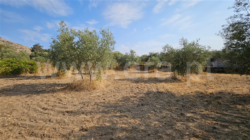 Quinta T1 Guarda, Aldeia Viçosa - 1433746 - 11