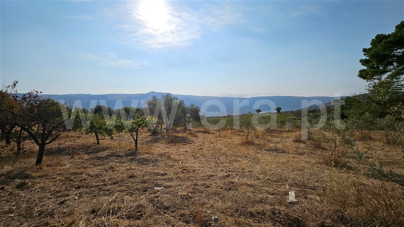 Quinta T1 Guarda, Aldeia Viçosa - 1433746 - 16