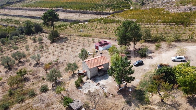 Quinta T1 Guarda, Aldeia Viçosa - 1433746 - 67