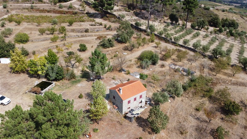 Quinta T1 Guarda, Aldeia Viçosa - 1433746 - 68