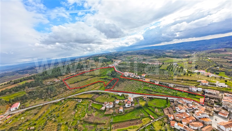 Quinta T1 / Meda, Mêda