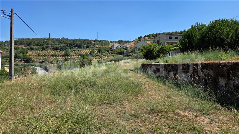 Quinta T1 Meda, Mêda - 1453164 - 10