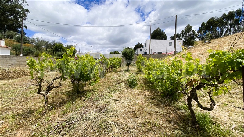 Quinta T1 Odemira, Relíquias - 1195665 - 46