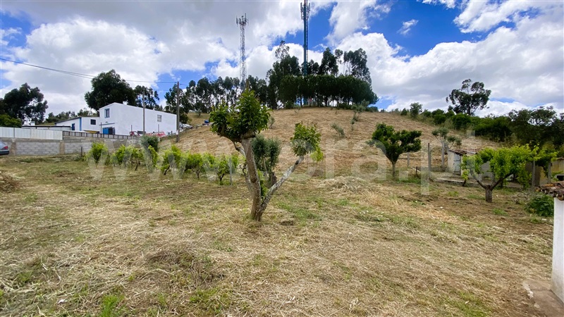 Quinta T1 Odemira, Relíquias - 1195665 - 59