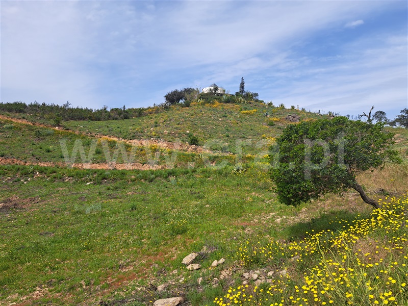 Quinta T1 / Ourique, Santana da Serra