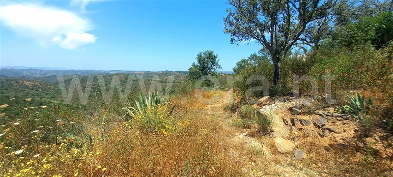 Quinta T1 Ourique, Santana da Serra - 880533 - 31