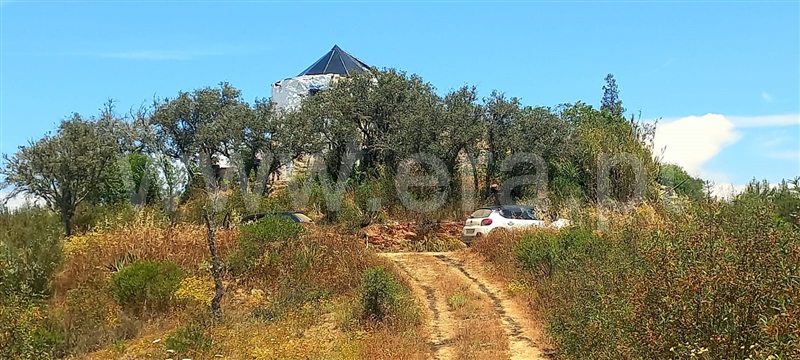 Quinta T1 Ourique, Santana da Serra - 880533 - 37