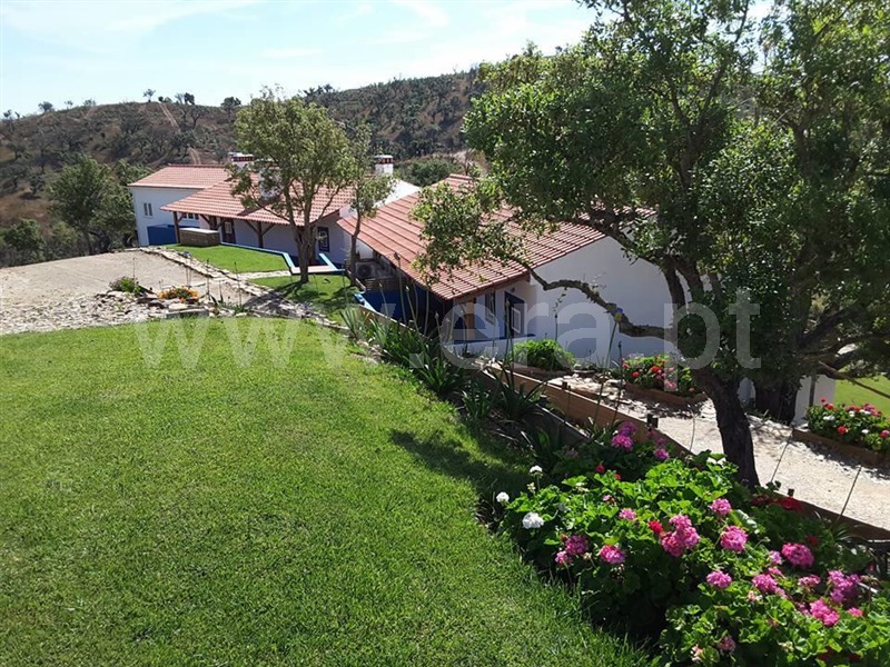 Quinta T10 / Odemira, Saboia