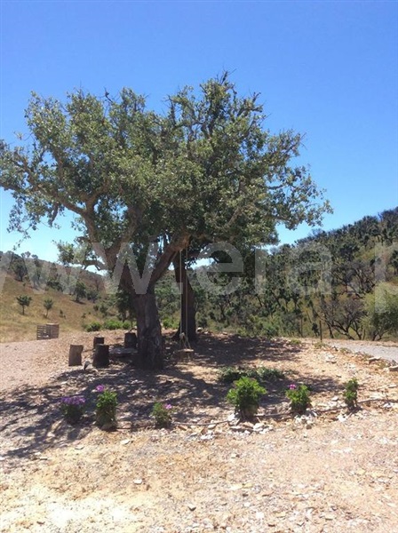Quinta T10 Odemira, Saboia - 1084818 - 18
