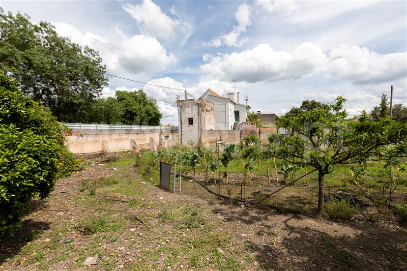 Quinta T15 Abrantes, Alvega - 1475137 - 6