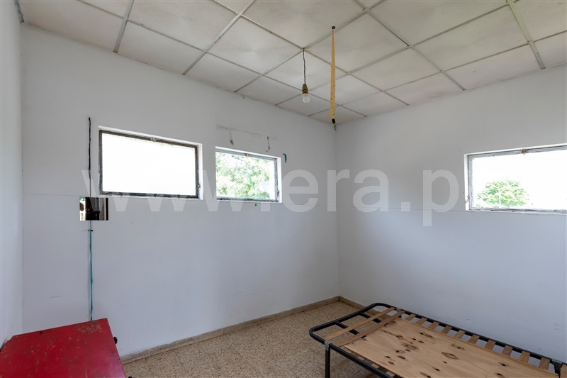Quinta T15 Abrantes, Alvega - 1475137 - 7