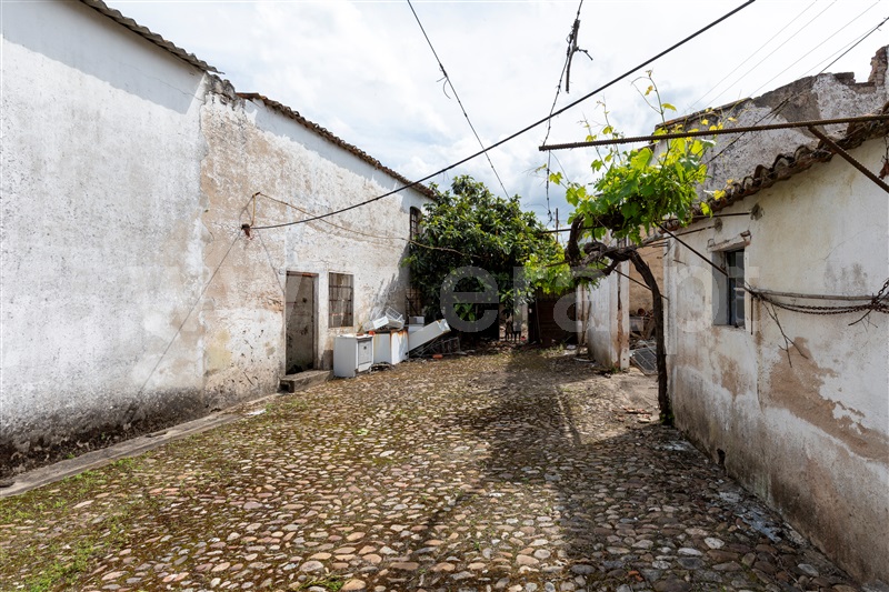 Quinta T15 Abrantes, Alvega - 1475137 - 14