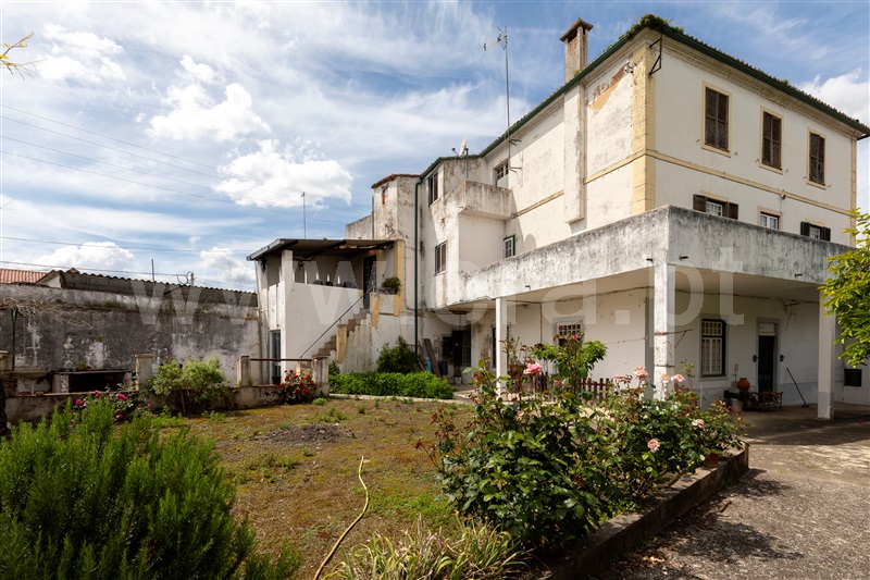 Quinta T15 Abrantes, Alvega - 1475137 - 15