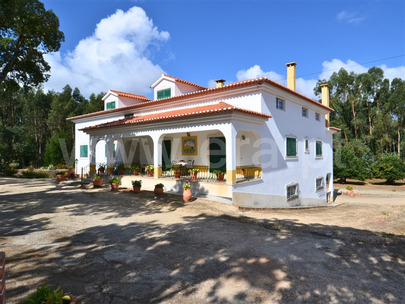 Quinta T17 / Santarém, Vale de Santarém