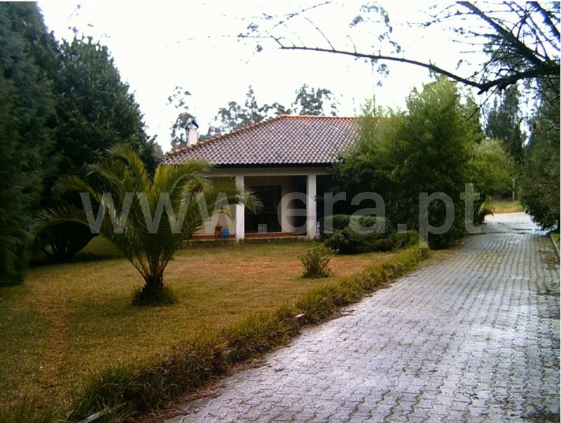 Quinta T2 / Albergaria-a-Velha, Fial