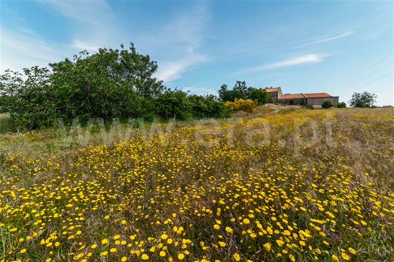 Quinta  Belmonte, Belmonte - 1010600 - 15