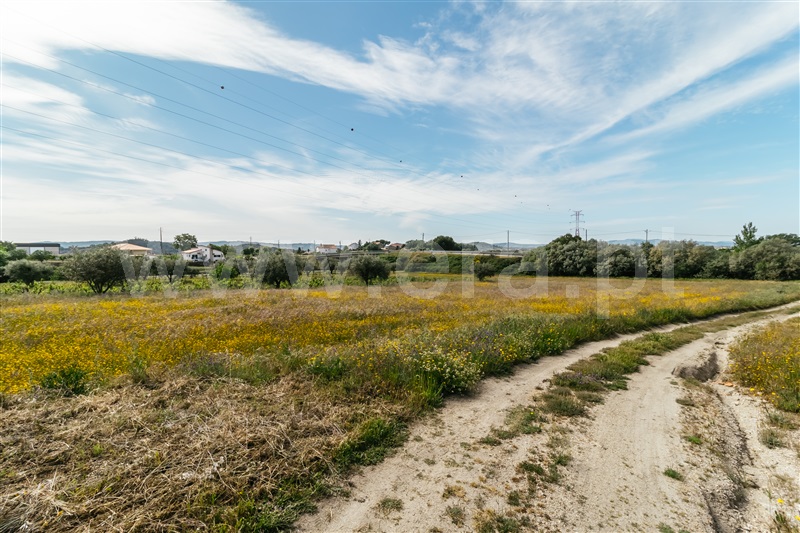 Quinta  Belmonte, Belmonte - 1010600 - 20