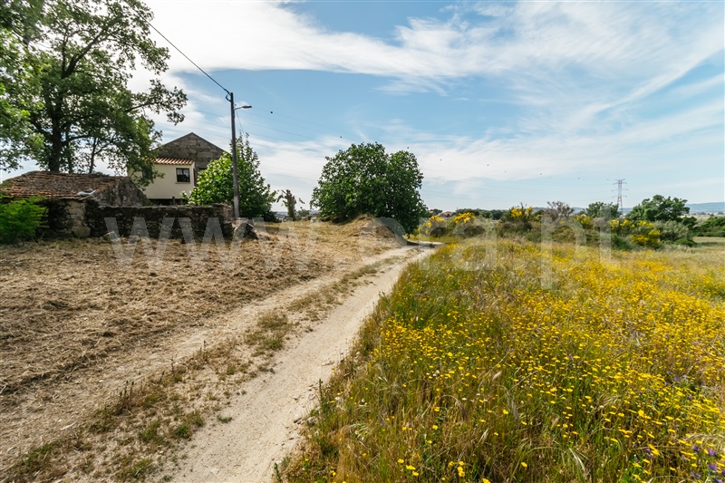 Quinta  Belmonte, Belmonte - 1010600 - 23