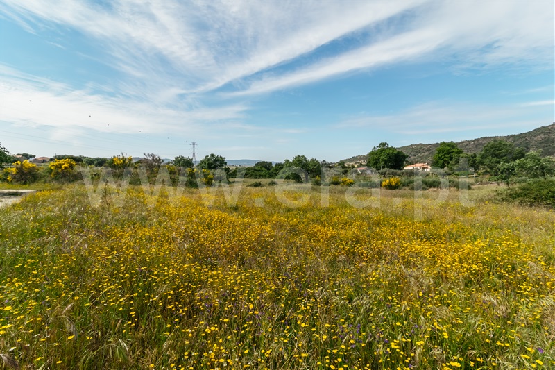 Quinta  Belmonte, Belmonte - 1010600 - 24